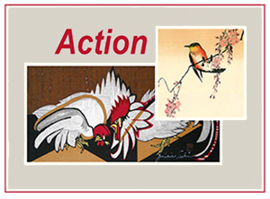 Picture Action Blog